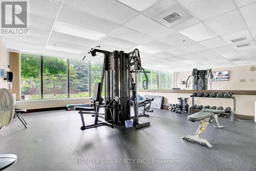 2010 - 22 Hanover Road, Brampton (Queen Street Corridor), ON - Indoor Photo Showing Gym Room