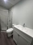 Basement Bathroom - 