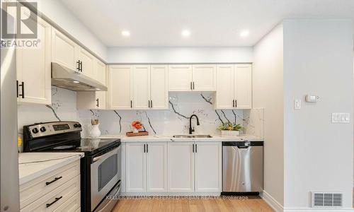 219 Templewood Drive, Kitchener, ON - Indoor Photo Showing Kitchen With Double Sink