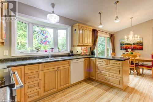 Pooched out window over sink for plants! - 292 Balaklava Street, Paisley, ON - Indoor Photo Showing Kitchen With Double Sink