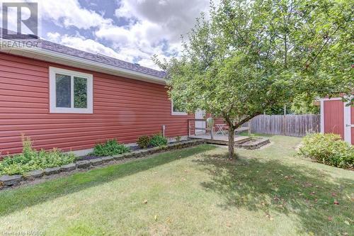 Unit 2 Back yard, apple tree - 292 Balaklava Street, Paisley, ON - Outdoor