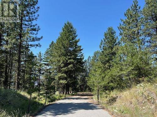 Lot 12 Sasquatch Trail, Osoyoos, BC 