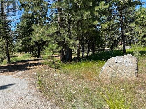 Lot 12 Sasquatch Trail, Osoyoos, BC 