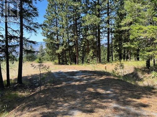 Lot 12 Sasquatch Trail, Osoyoos, BC 