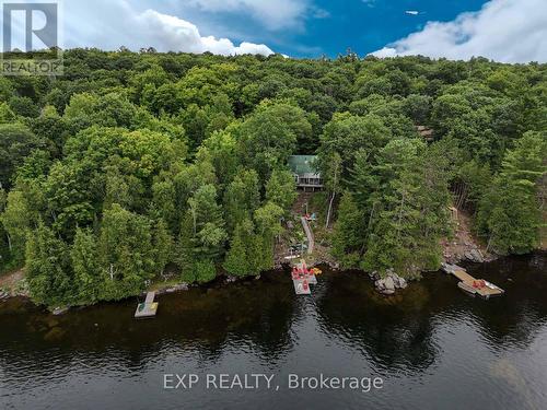 273 Fire Route 330, Galway-Cavendish And Harvey, ON - Outdoor With Body Of Water With View