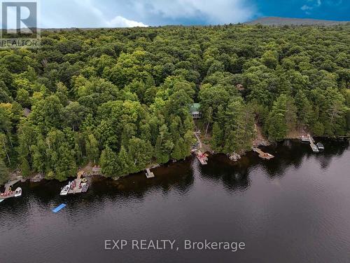 273 Fire Route 330, Galway-Cavendish And Harvey, ON - Outdoor With Body Of Water With View