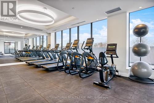 209 - 33 Frederick Todd Way, Toronto (Thorncliffe Park), ON - Indoor Photo Showing Gym Room