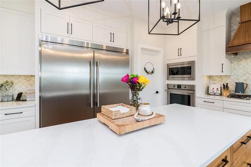 306 Duchek Drive, Ritchot Rm, MB - Indoor Photo Showing Kitchen With Upgraded Kitchen