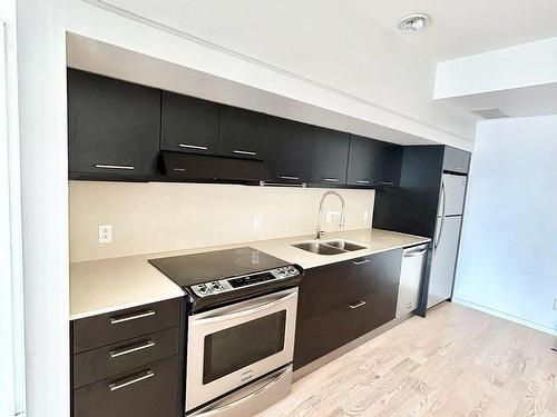 Cuisine - 1603-350 Boul. De Maisonneuve O., Montréal (Ville-Marie), QC - Indoor Photo Showing Kitchen With Double Sink