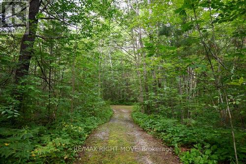 4544 Bowles Lane, Severn (Washago), ON 