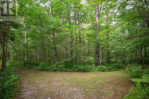 4544 Bowles Lane, Severn (Washago), ON 