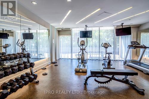 210 - 85 The Donway Way W, Toronto (Banbury-Don Mills), ON - Indoor Photo Showing Gym Room