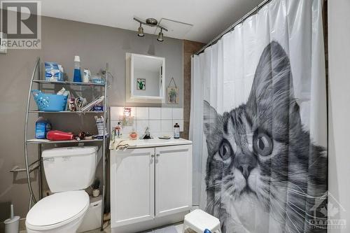 389 Edward Street S, Prescott, ON - Indoor Photo Showing Bathroom