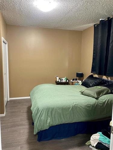 1528 Lorne Avenue, Brandon, MB - Indoor Photo Showing Bedroom