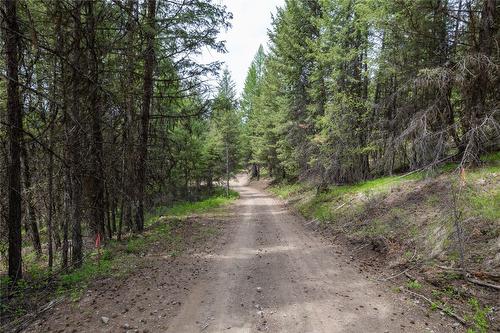 233 Boulder Road, Beaverdell, BC - Outdoor With View