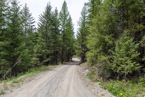 233 Boulder Road, Beaverdell, BC - Outdoor With View