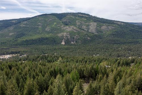 233 Boulder Road, Beaverdell, BC - Outdoor With View