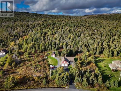 110 Valley Road, Carbonear, NL - Outdoor With View