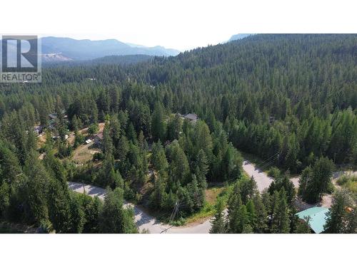 1360 Frisk Road, Christina Lake, BC - Outdoor With View