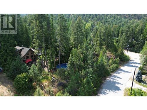 1360 Frisk Road, Christina Lake, BC - Outdoor With View