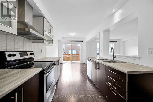 186 Odonnell Drive, Hamilton (Binbrook), ON - Indoor Photo Showing Kitchen With Double Sink With Upgraded Kitchen