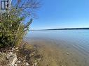 Lot 10 Pinewood Boulevard, Kawartha Lakes, ON 