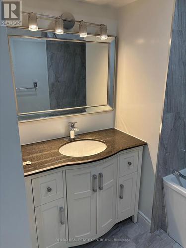 119 Royal West Bsmt Drive, Brampton, ON - Indoor Photo Showing Bathroom