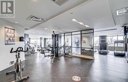 1608 - 225 Sherway Gardens Road, Toronto (Islington-City Centre West), ON - Indoor Photo Showing Gym Room