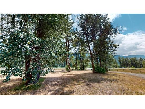 2087 3 Highway, Fernie, BC - Outdoor With View