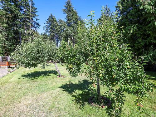 135 Jamieson Rd, Bowser, BC 