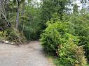 Lot 10 Rainforest Lane, Ucluelet, BC 