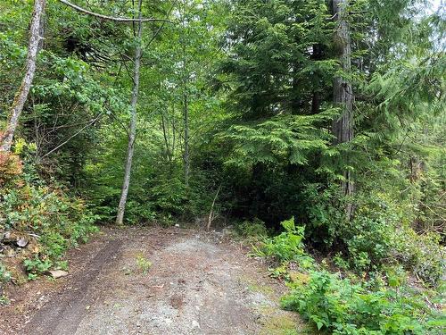 Lot 10 Rainforest Lane, Ucluelet, BC 