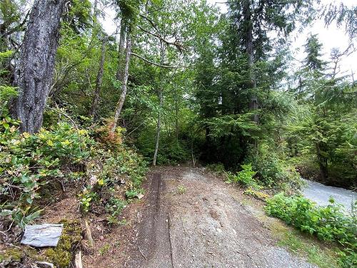 Lot 10 Rainforest Lane, Ucluelet, BC 