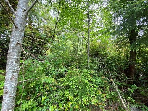 Lot 10 Rainforest Lane, Ucluelet, BC 