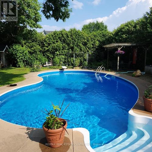 1084 Scott Avenue, Oakville (Bronte East), ON - Outdoor With In Ground Pool With Deck Patio Veranda With Backyard