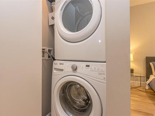 108-595 Pandora Ave, Victoria, BC - Indoor Photo Showing Laundry Room