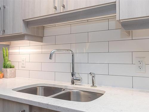 108-595 Pandora Ave, Victoria, BC - Indoor Photo Showing Kitchen With Double Sink