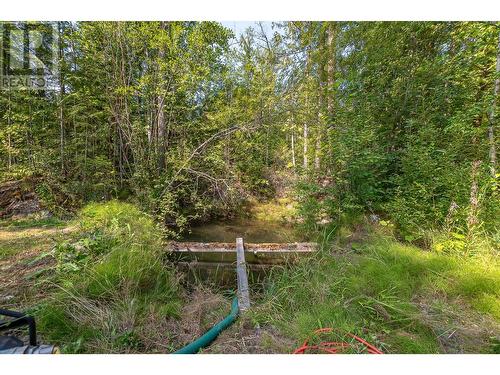 2510 Samuelson Road, Sicamous, BC - Outdoor