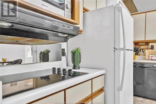 2211 Moy Avenue, Windsor, ON - Indoor Photo Showing Kitchen