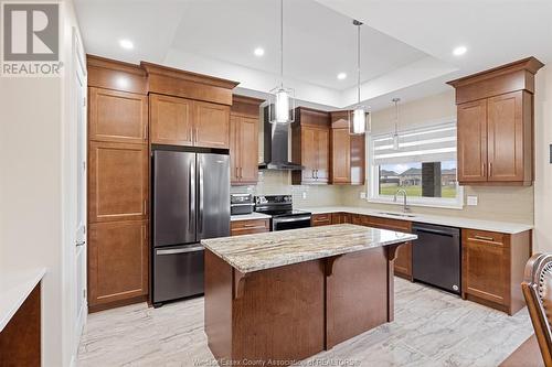 517 Veneto Street, Lakeshore, ON - Indoor Photo Showing Kitchen With Upgraded Kitchen