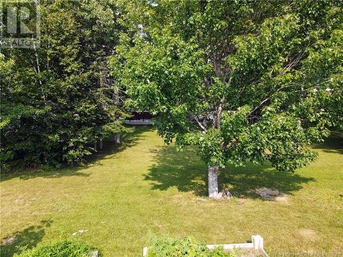 69 Acadie Street, Saint-Antoine, NB - Outdoor