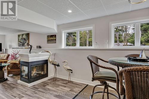 240 Burnt River Drive, Kawartha Lakes (Burnt River), ON - Indoor With Fireplace