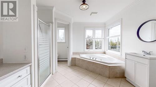 29 Red Cliff Road, St. John’S, NL - Indoor Photo Showing Bathroom