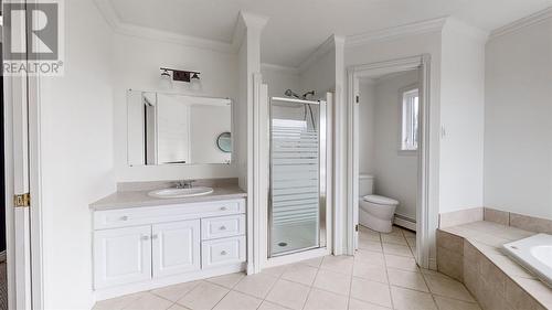 29 Red Cliff Road, St. John’S, NL - Indoor Photo Showing Bathroom