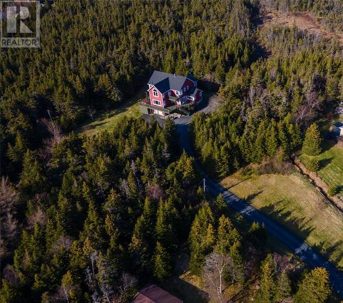 29 Red Cliff Road, St. John’S, NL - Outdoor With View