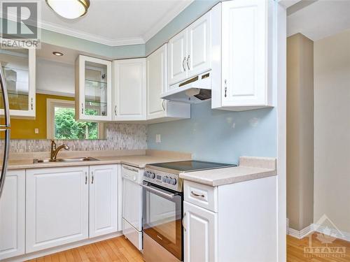 48 Sumac Street Unit#D, Ottawa, ON - Indoor Photo Showing Kitchen With Double Sink