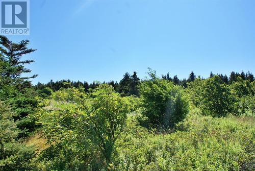 442 Southside Road, Harbour Grace, NL - Outdoor With View