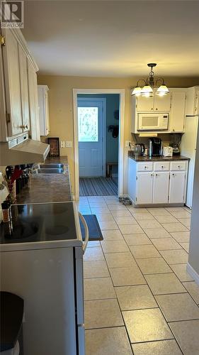 22 Romains Road, Port Au Port East, NL - Indoor Photo Showing Kitchen With Double Sink