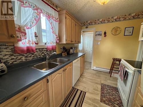 177 Old Petty Harbour Road, St. John'S, NL - Indoor Photo Showing Kitchen With Double Sink