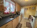 177 Old Petty Harbour Road, St. John'S, NL  - Indoor Photo Showing Kitchen With Double Sink 